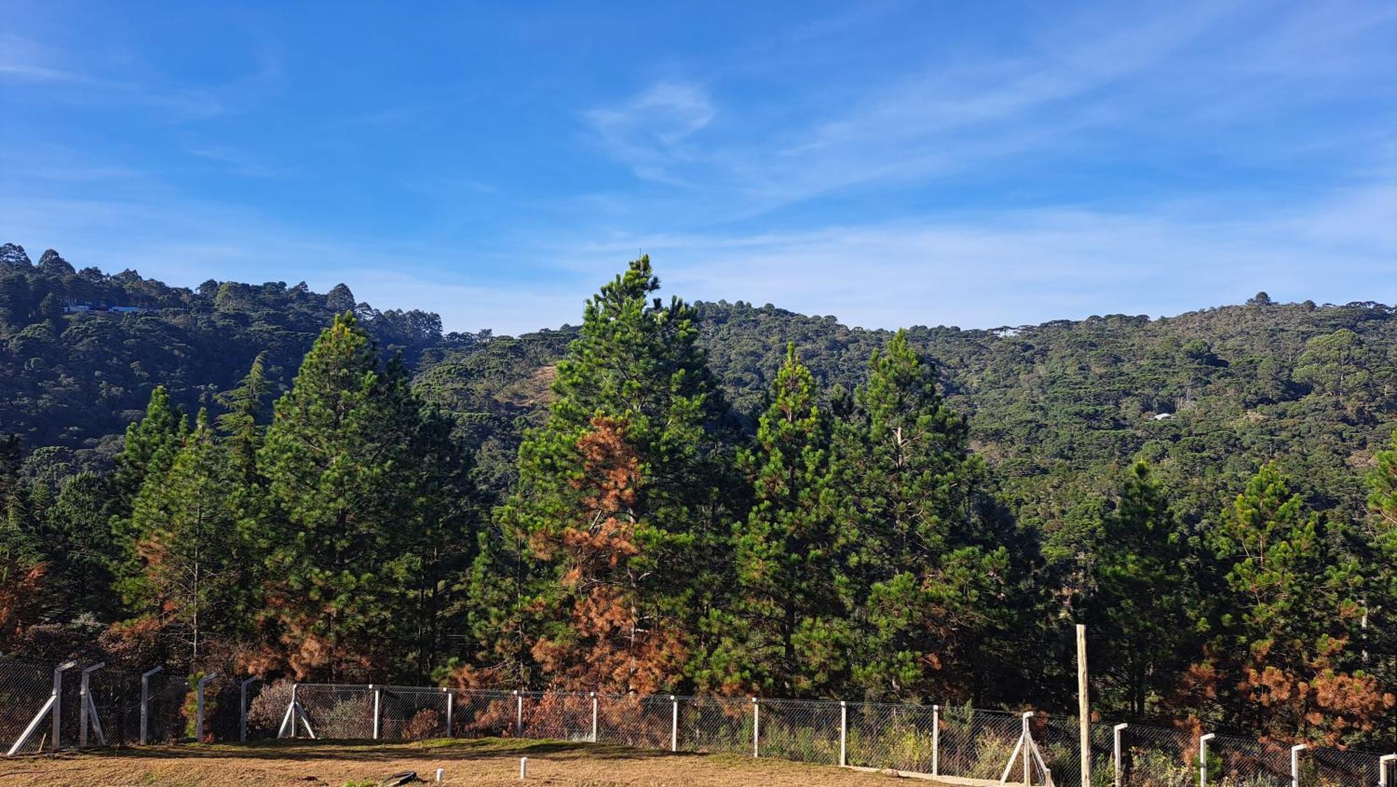 Chale Luz Do Luar Romantismo E Uma Linda Vista Campos do Jordão Eksteriør billede
